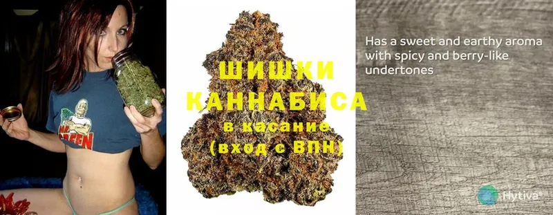 kraken сайт  Подпорожье  Конопля THC 21% 